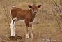 slides/DSC_0162.JPG  DSC_0162