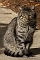 slides/DSC_0267.JPG  DSC_0267