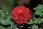 slides/DSC_0011.JPG  DSC_0011