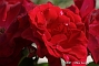 slides/DSC_0097.JPG  DSC_0097