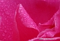 slides/DSC_0218.JPG  DSC_0218