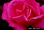 slides/DSC_0222.JPG  DSC_0222
