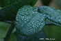 slides/DSC_0228.JPG  DSC_0228