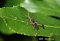 slides/DSC_0046.JPG  DSC_0046