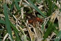 slides/DSC_0239.JPG  DSC_0239