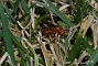 slides/DSC_0240.JPG  DSC_0240