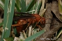 slides/DSC_0245.JPG  DSC_0245