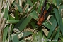 slides/DSC_0246.JPG  DSC_0246