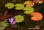 slides/DSC_0065.JPG  DSC_0065