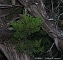 slides/DSC_0326.jpg  DSC_0326