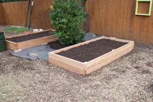 Completed Raised Bed Gardens