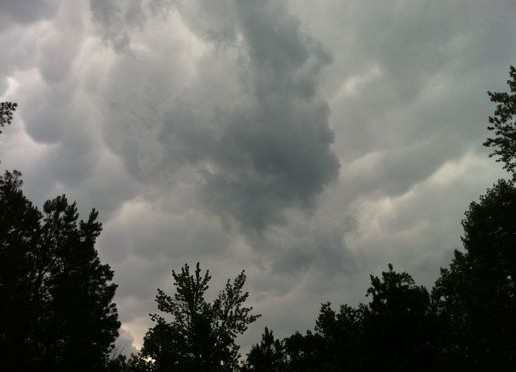 Rainfall in Round Rock