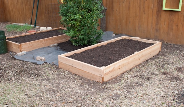 Building a Raised Bed