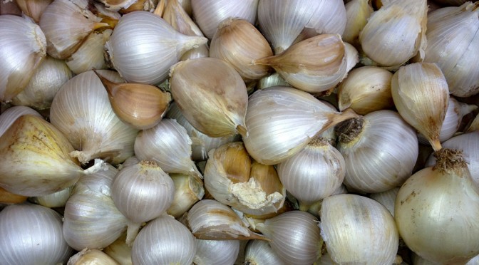 October is Approaching – Time to Plant Garlic